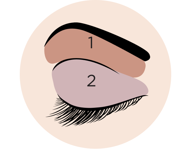 downturned eyes diagram