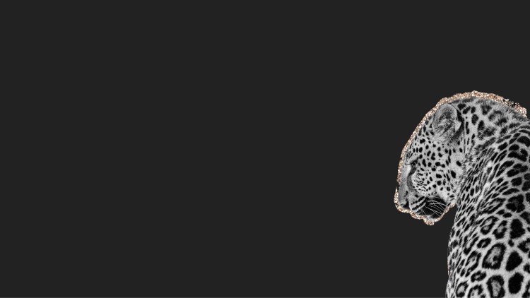 black background with leopard