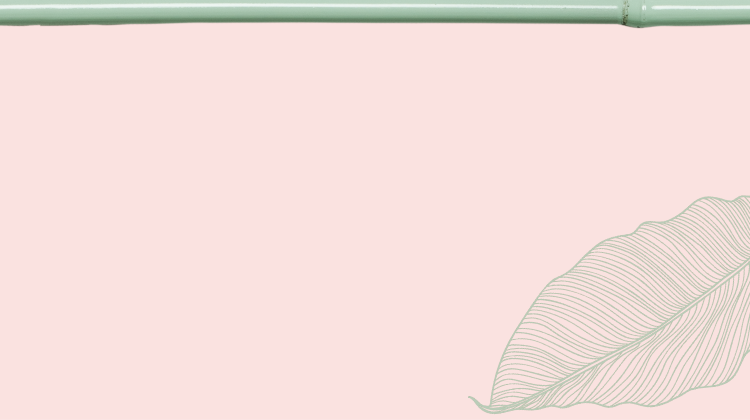 Light pink background with leaf and bamboo 