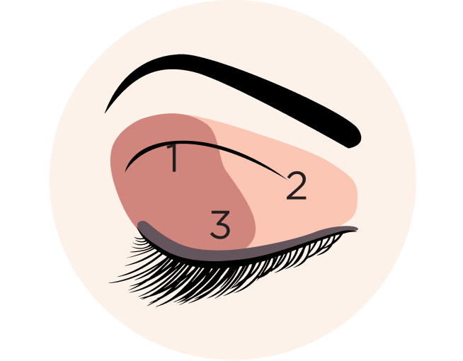 vanishing monolid eye diagram